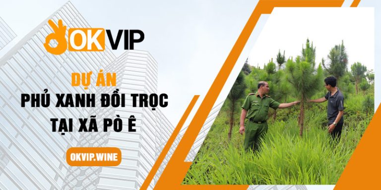Dự án phủ xanh đồi trọc tại xã Pò Ê